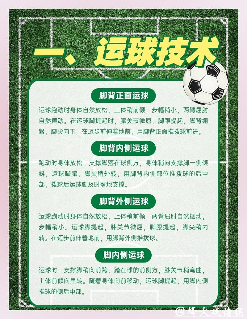 全面解析世界杯体育平台的功能与优势